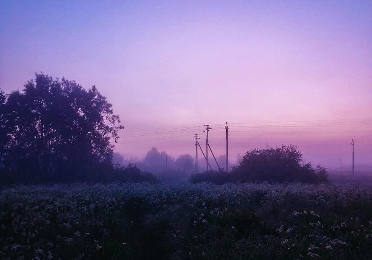 p站搬运工无法登录怎么办