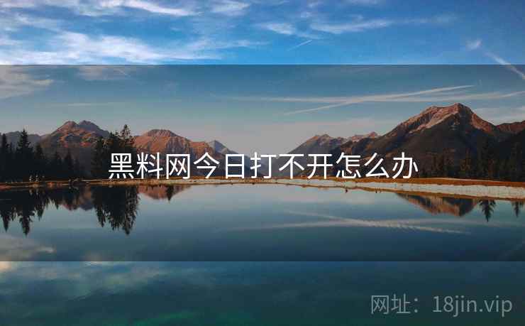 黑料网今日打不开怎么办