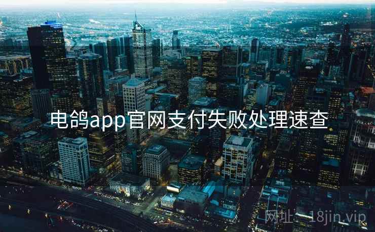 电鸽app官网支付失败处理速查 电鸽app官网支付失败处理速查