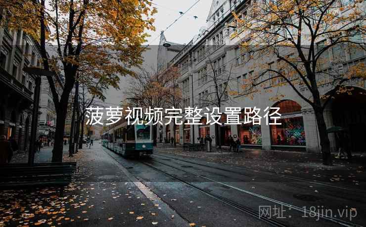 菠萝视频完整设置路径